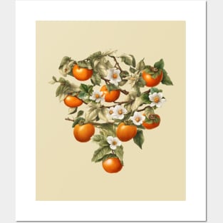 Persimmons Posters and Art